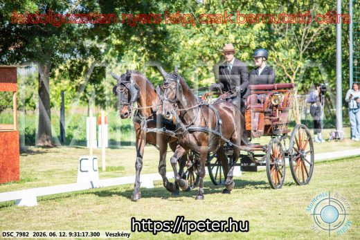 Mintakép 20260612-329