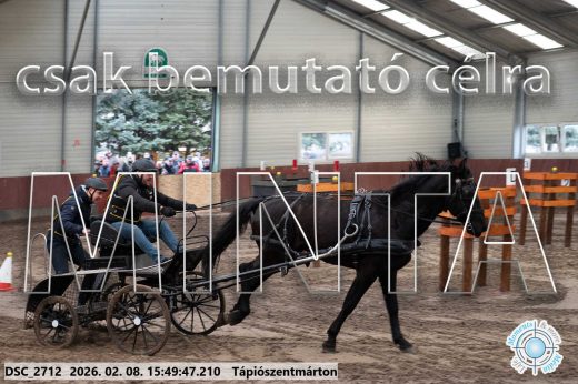 Mintakép 20260208-1643