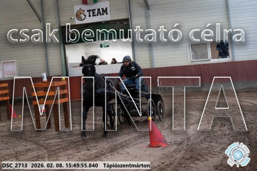 Mintakép 20260208-1644