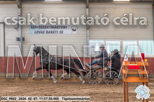 Mintakép 20260207-978