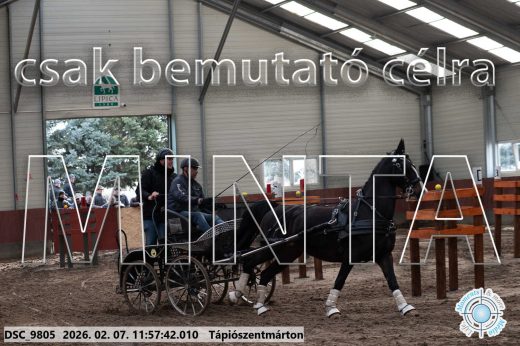 Mintakép 20260207-980