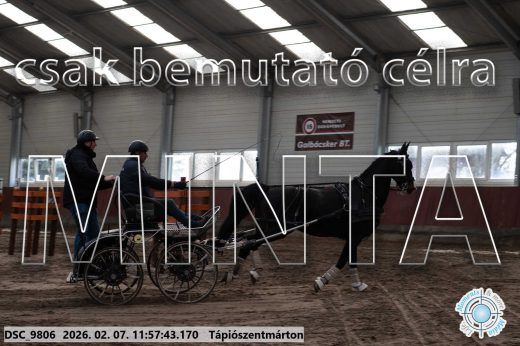 Mintakép 20260207-981
