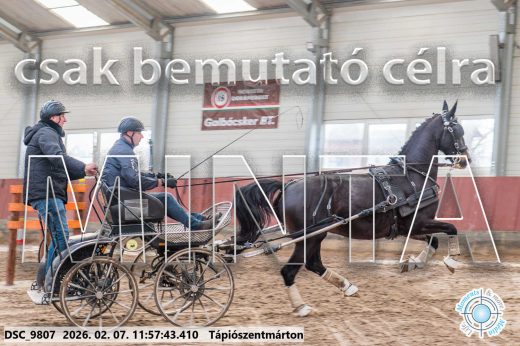 Mintakép 20260207-982