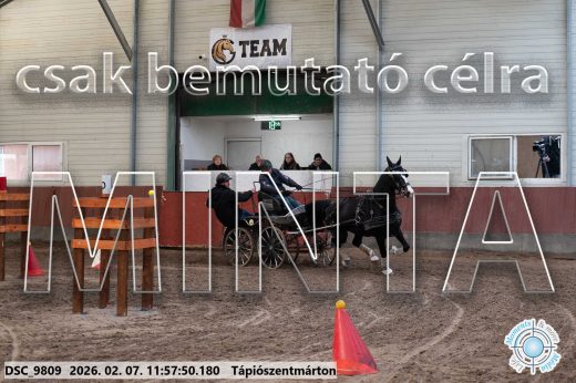 Mintakép 20260207-984