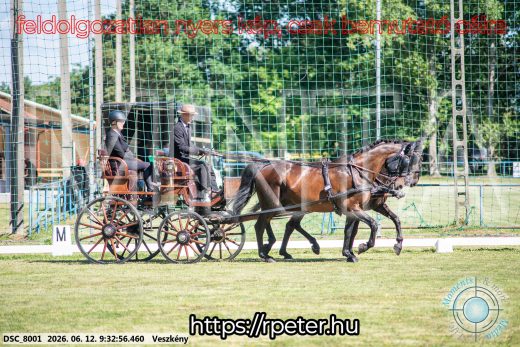 Mintakép 20260612-332