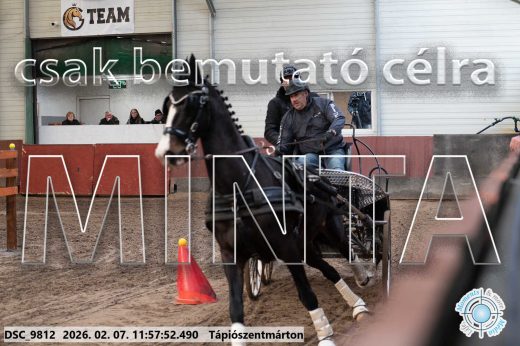 Mintakép 20260207-987