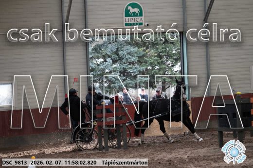Mintakép 20260207-988