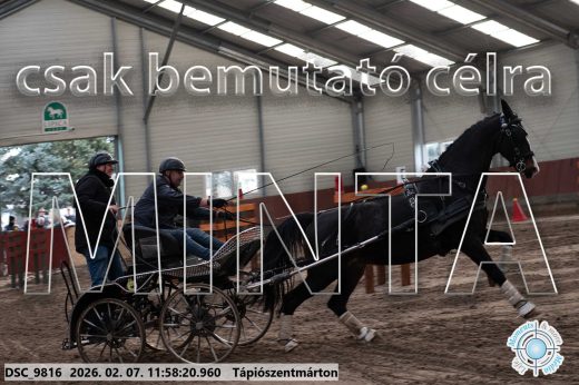 Mintakép 20260207-990