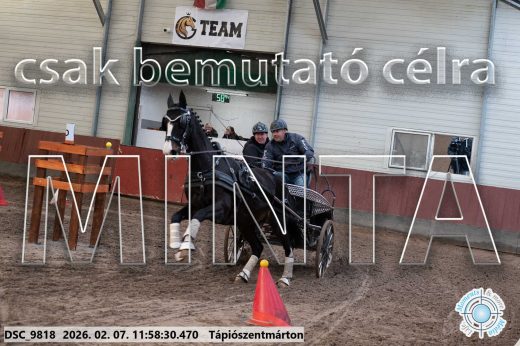 Mintakép 20260207-992