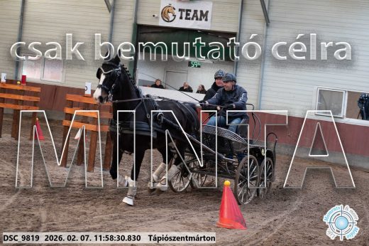 Mintakép 20260207-993