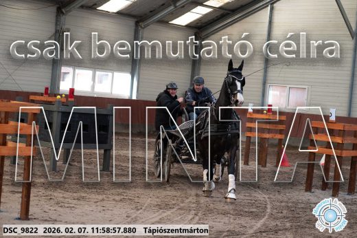 Mintakép 20260207-995