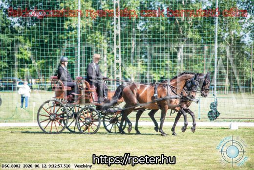 Mintakép 20260612-333