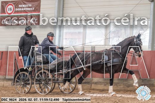Mintakép 20260207-997