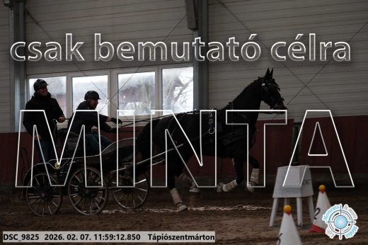 Mintakép 20260207-998