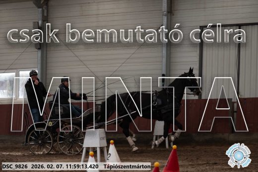Mintakép 20260207-999