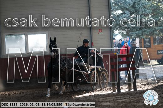 Mintakép 20260208-1654