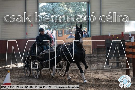 Mintakép 20260208-1655