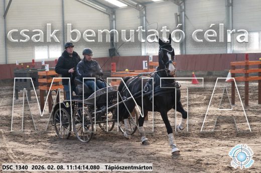 Mintakép 20260208-1656