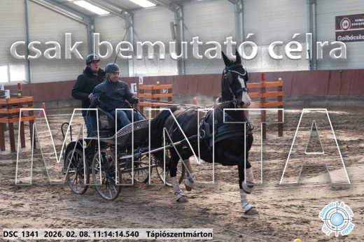 Mintakép 20260208-1657