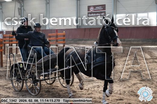 Mintakép 20260208-1658