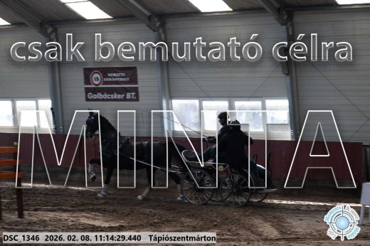 Mintakép 20260208-1662
