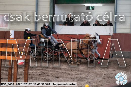 Mintakép 20260207-1004