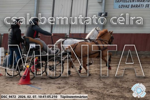 Mintakép 20260207-1006