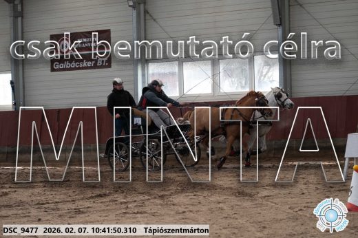 Mintakép 20260207-1010