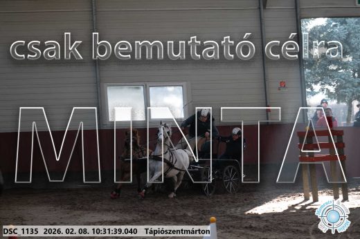 Mintakép 20260208-1667