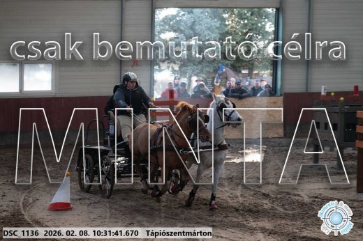 Mintakép 20260208-1668
