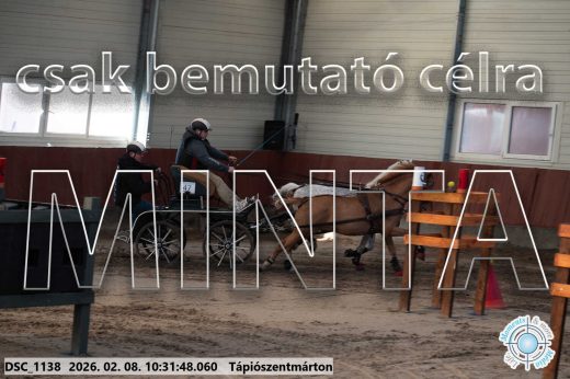 Mintakép 20260208-1669