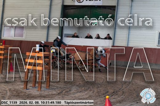 Mintakép 20260208-1670