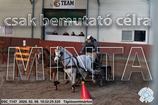 Mintakép 20260208-1676