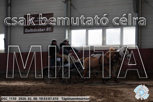 Mintakép 20260208-1679