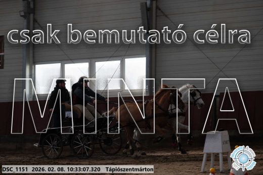 Mintakép 20260208-1680