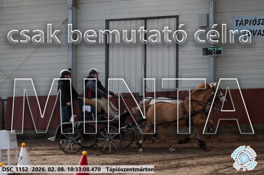 Mintakép 20260208-1681