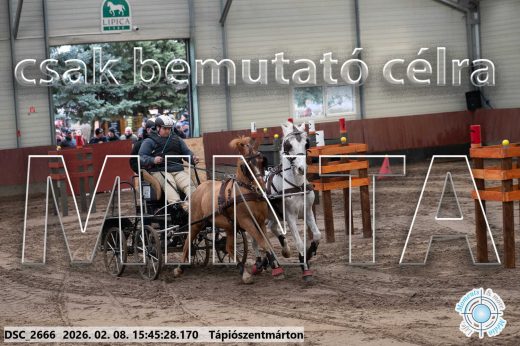 Mintakép 20260208-1683