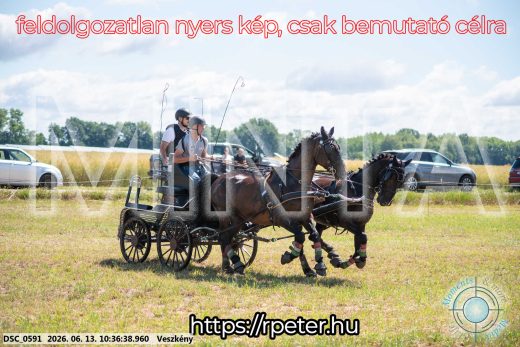 Mintakép 20260613-625