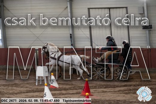 Mintakép 20260208-1688