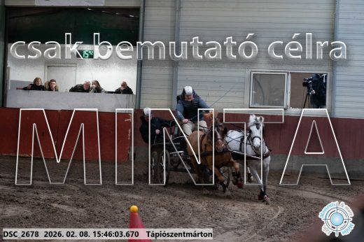 Mintakép 20260208-1695