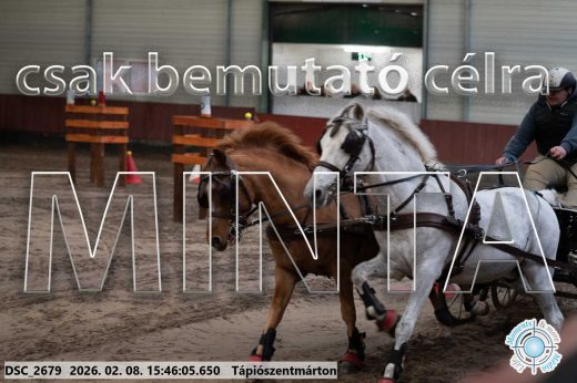 Mintakép 20260208-1696