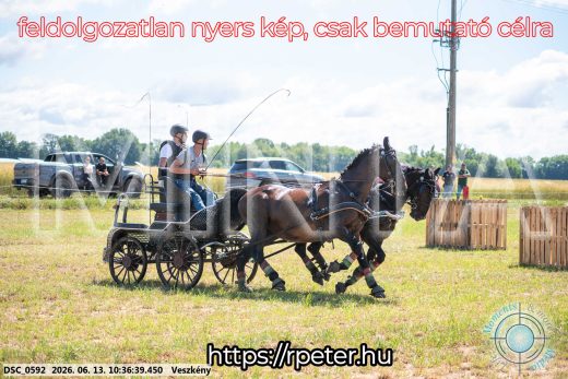 Mintakép 20260613-626