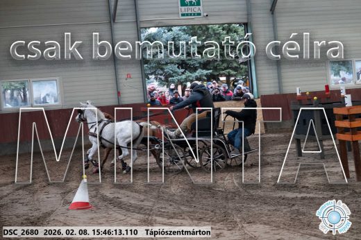Mintakép 20260208-1697