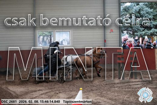 Mintakép 20260208-1698