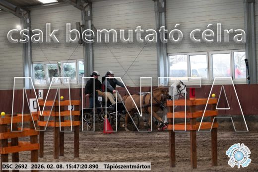 Mintakép 20260208-1709