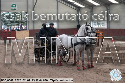 20260207-133244-DSC_0067.jpg