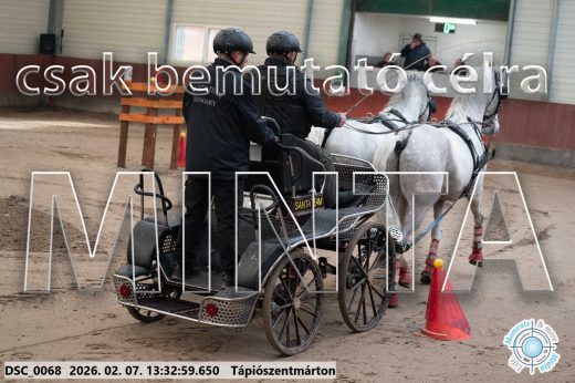 20260207-133259-DSC_0068.jpg