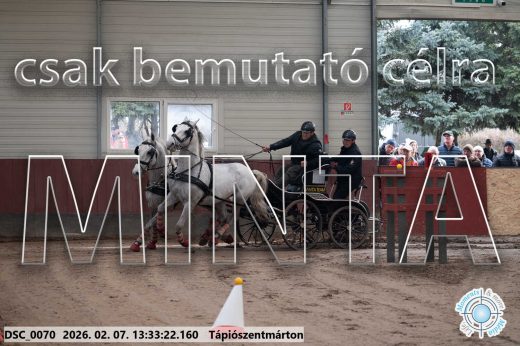 Mintakép 20260207-1017