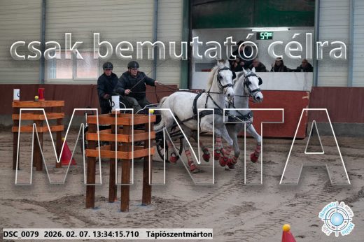 Mintakép 20260207-1025