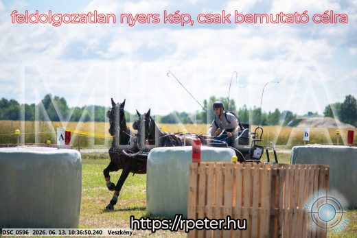 Mintakép 20260613-629